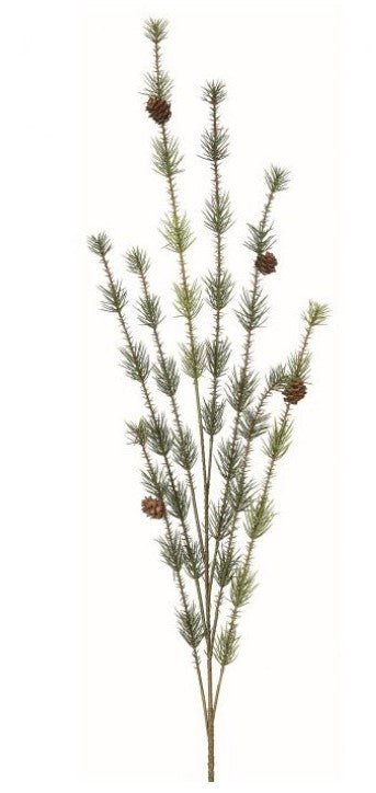 Pendula Pine Spray