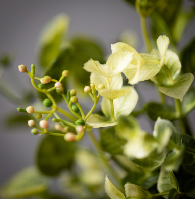 Eucalyptus/Mint Leaf Garland