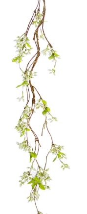 SEEDED BERRY VINE