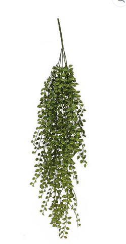 HANGING TEA LEAF BUSH