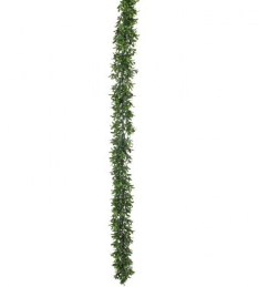 AM BOXWOOD GARLAND UV TREAT