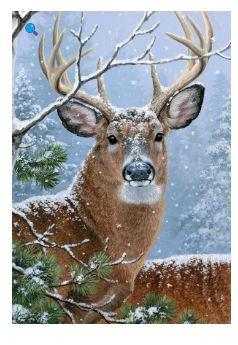 Winter Whitetail