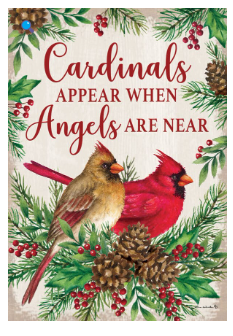 Cardinals & Angels Collection