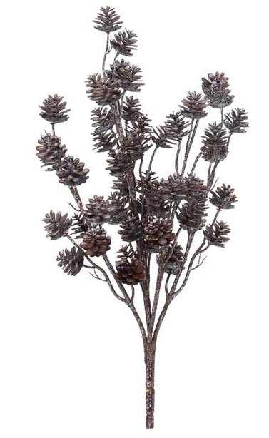 PINECONE BUSH