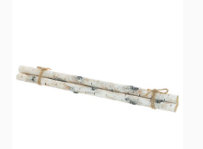 BIRCH STICK BUNDLE/3