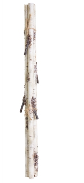 Birch Branch Bundle