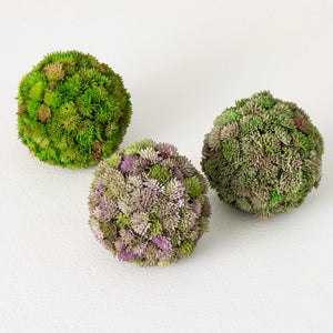 COLORFUL SEDUM ORB