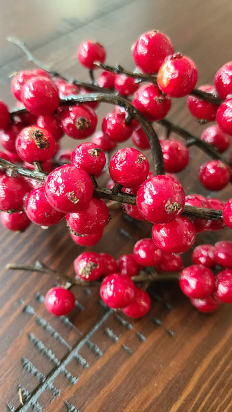 Winterberry Pick