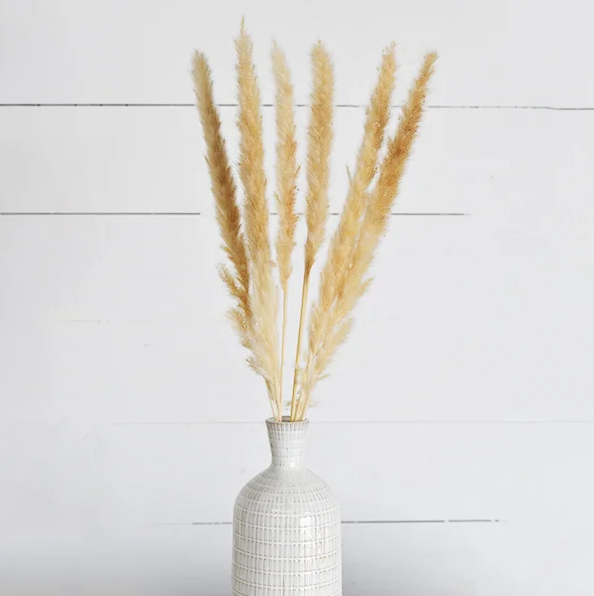 Pampas Grass Bundle