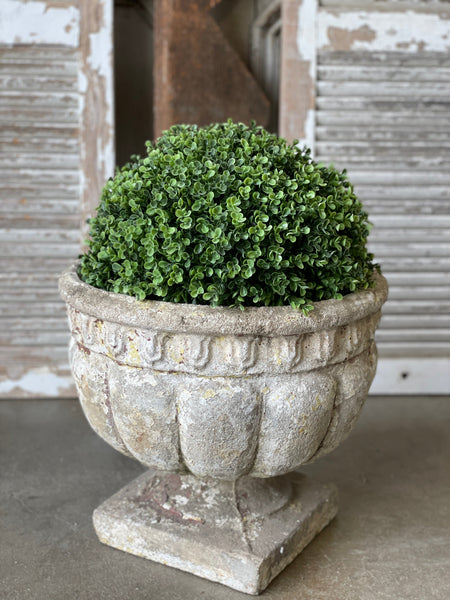 Richland Boxwood Collection