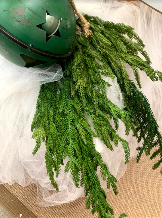 Norfolk Pine Spray