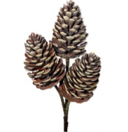 Pine Cone Pick