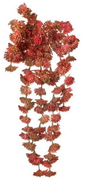 Real Touch Hanging Sedum Pick (multiple colors)