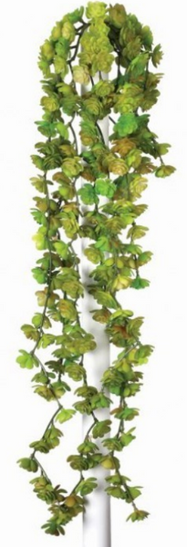 Fresh Touch Succulent Fountain Vine (Multiple Colors)