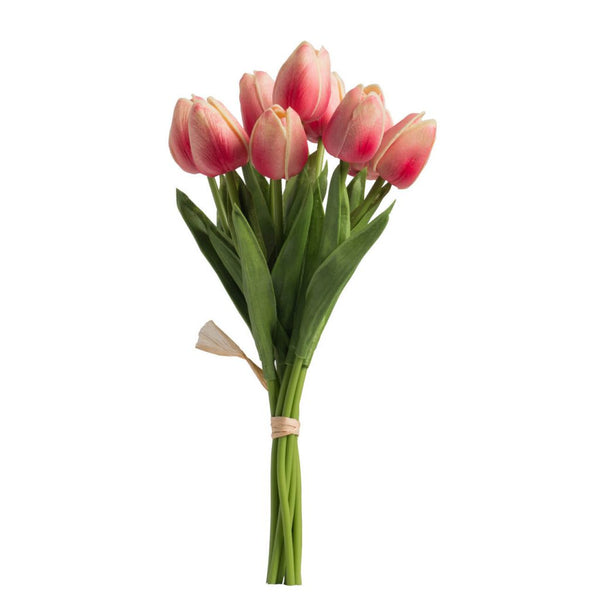 Tulip Bundle X9