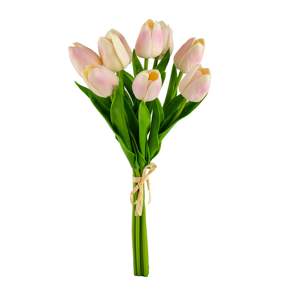 Tulip Bundle X9