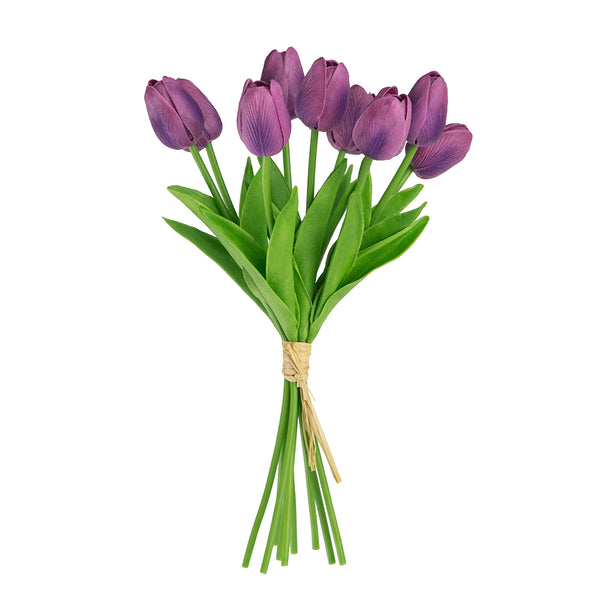 Tulip Bundle X9