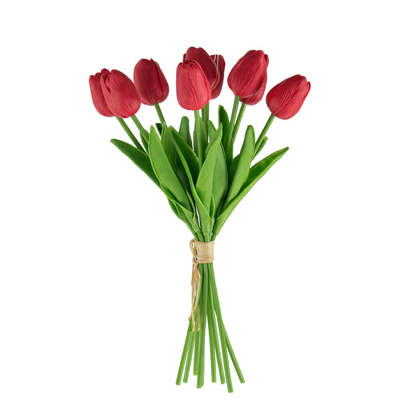 Tulip Bundle X9