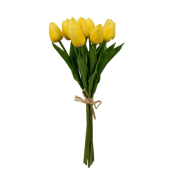 Tulip Bundle X9