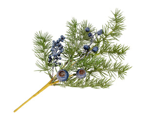 Blueberry Cypress Greenery Collection