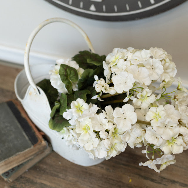 White Geranium Bush