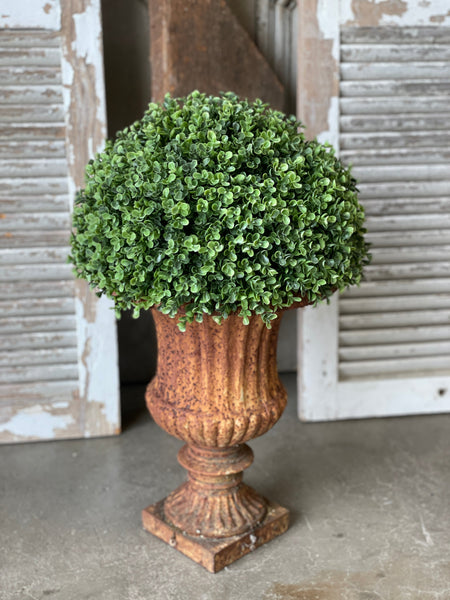 Richland Boxwood Collection