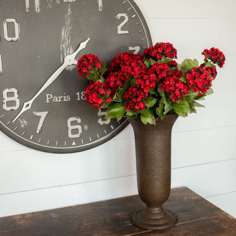 Red Sweet William Stem