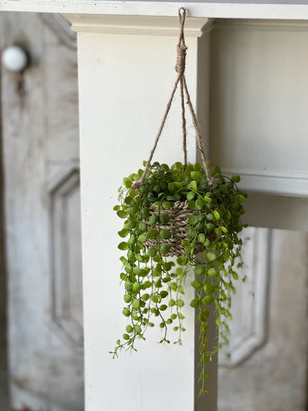 Brentwood Hanging Basket (2 sizes)