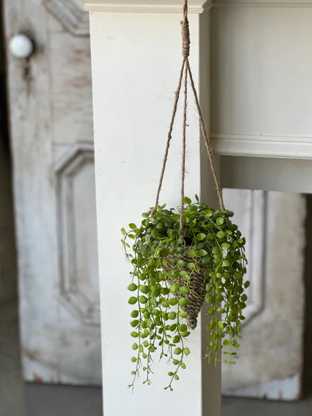 Brentwood Hanging Basket (2 sizes)