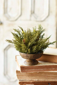 Alpine Cedar Greenery Collection