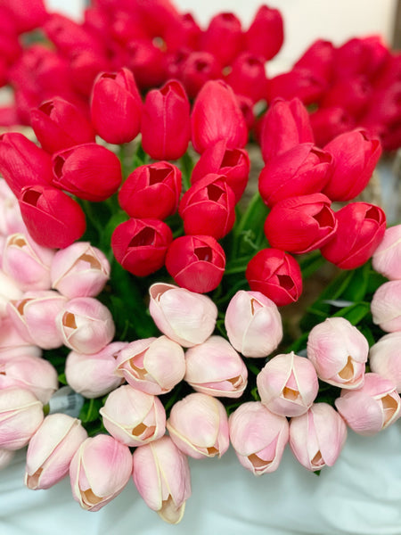 Tulip Bundle X9