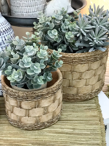 Woven Basket Pot