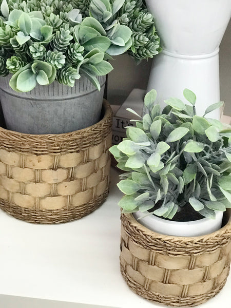 Woven Basket Pot