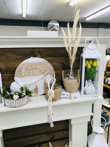 Pampas Grass Bundle