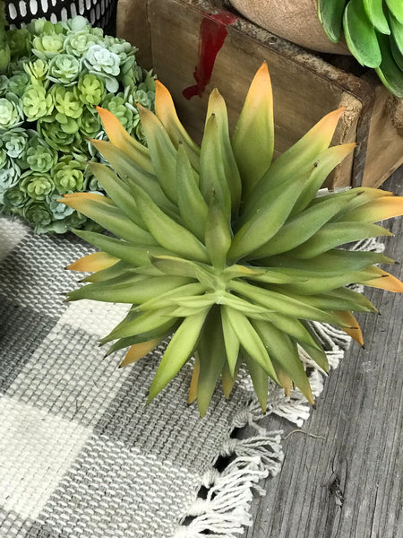 Star Succulent Pick