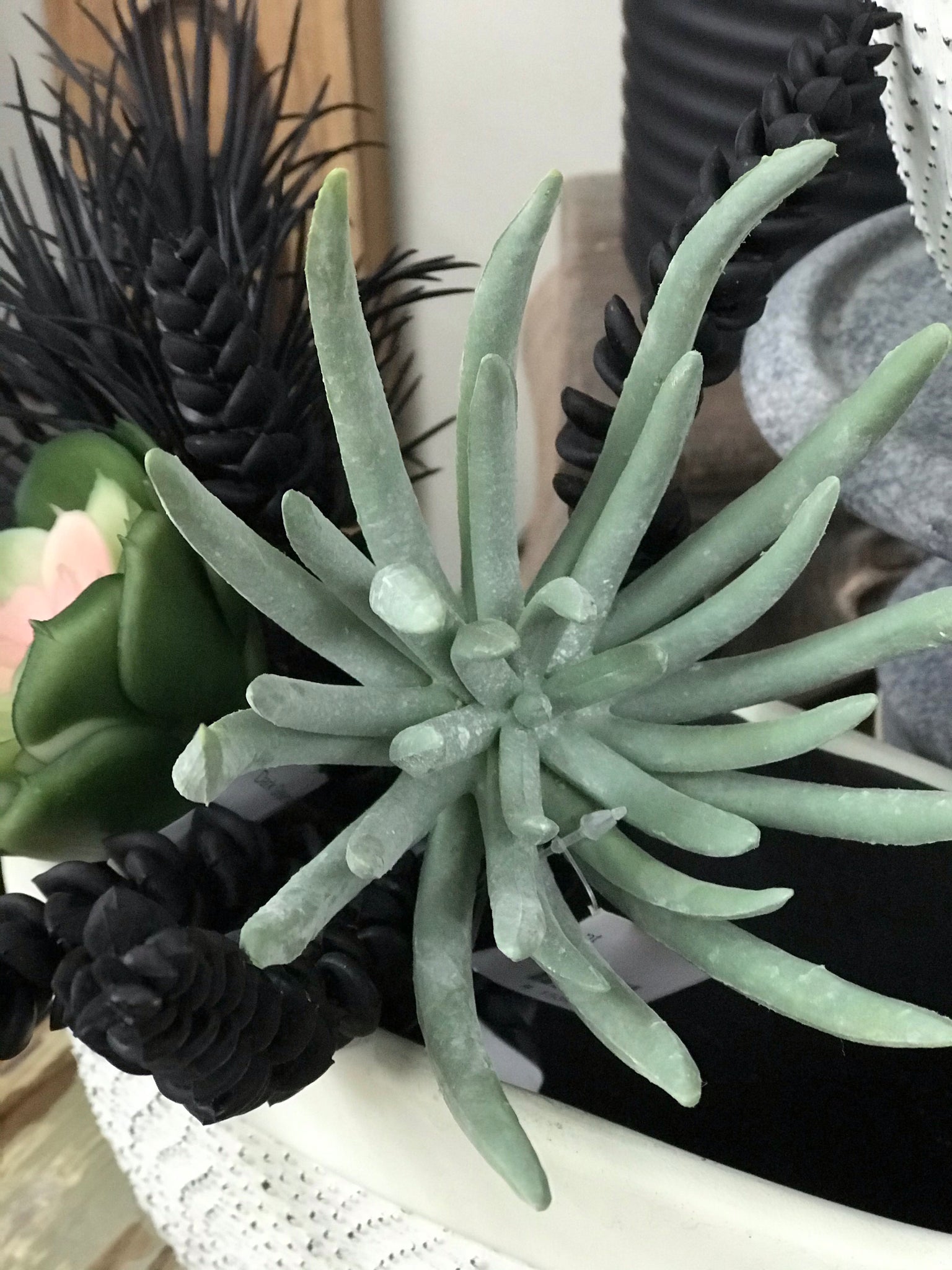 Echeveria Succulent Pick